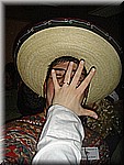 Fasnet2008-FR-016.jpg