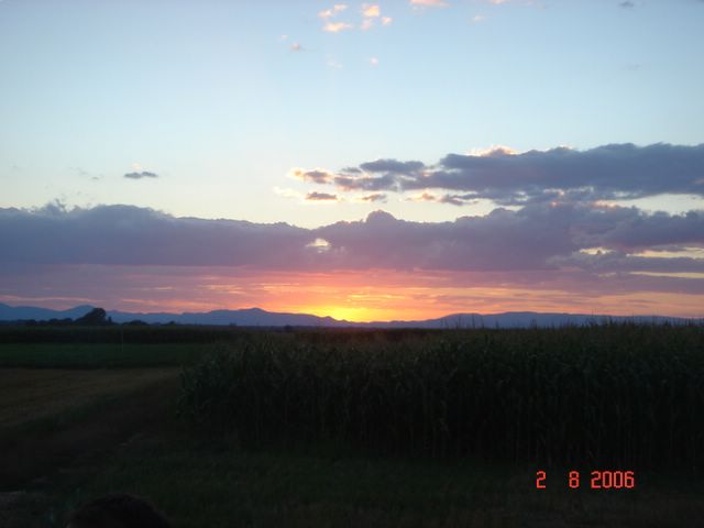 hodumi06aufbau-web016.jpg
