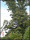 hodumi06aufbau-web019.jpg